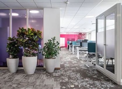 關注員工感受的辦公裝修設計空間是怎樣的——Bayer拜耳